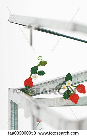 Fake strawberries emerging from glass box View Large Photo Image Stock Image - Fake strawberries emerging from glass box. Fotosearch