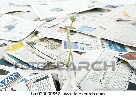 Stock Image - Plant seedling growing out of pile of newspapers. Fotosearch