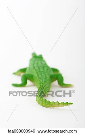 Toy alligator, rear view View Large Photo Image Stock Photograph - Toy alligator, rear view. Fotosearch