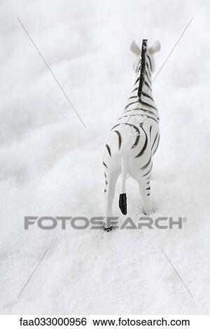 Toy zebra in snow, rear view View Large Photo Image Stock Photograph - Toy zebra in snow, rear view. Fotosearch