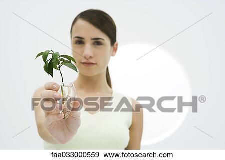 Woman holding seedling in vase, looking at camera View Large Photo Image Stock Photo - Woman holding seedling in vase, looking at camera. Fotosearch