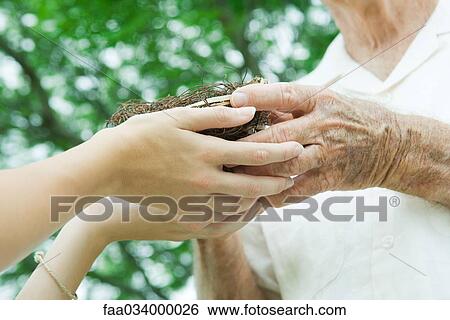 Stock Photograph - Elderly person carefully handing a bird's nest to a younger person. Fotosearch