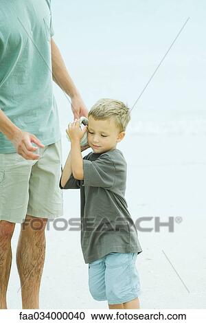 Stock Image - Little boy listening to seashell, father standing at his side . Fotosearch