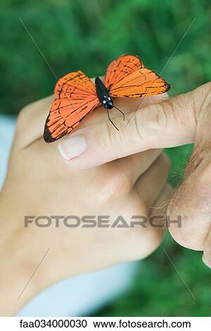 Young person with butterfly perched on hand, elderly person touching with finger View Large Photo Image Stock Image - Young person with butterfly perched on hand, elderly person touching with finger. Fotosearch