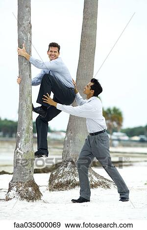 Stock Photo - Businessman climbing palm tree with associate's help. Fotosearch