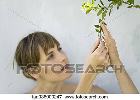 Woman closely examining leaves of plant, looking up View Large Photo Image Stock Photo - Woman closely examining leaves of plant, looking up. Fotosearch