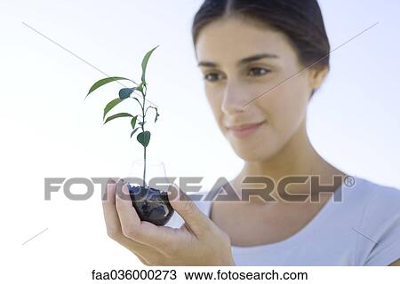 Woman holding seedling in small planter made from discarded light bulb View Large Photo Image Stock Image - Woman holding seedling in small planter made from discarded light bulb. Fotosearch