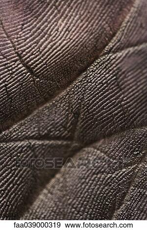 Stock Photo - Blackened palm of hand, extreme close-up. Fotosearch