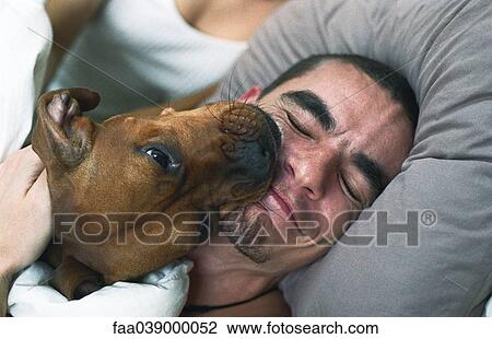Dog licking sleeping man's smiling face View Large Photo Image Stock Image - Dog licking sleeping man's smiling face. Fotosearch