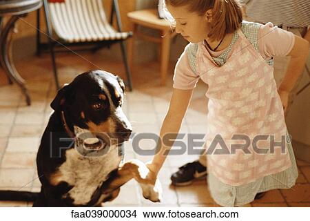 Girl shaking dog's paw View Large Photo Image Picture - Girl shaking dog's paw. Fotosearch