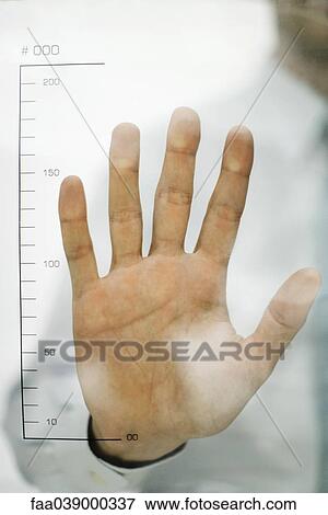 Stock Photo - Man holding hand up to ruler. Fotosearch