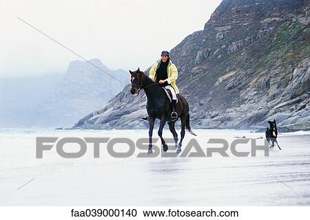 Man riding horse on beach View Large Photo Image Stock Image - Man riding horse on beach. Fotosearch