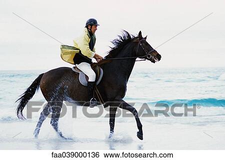 Man riding horse on beach View Large Photo Image Stock Photograph - Man riding horse on beach. Fotosearch