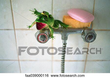 Plastic toy frog, sponge, pink bar of soap set on shower faucet View Large Photo Image Stock Photograph - Plastic toy frog, sponge, pink bar of soap set on shower faucet. Fotosearch