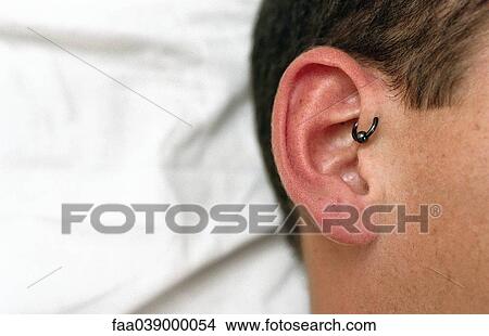 Young man with forward helix ear piercing, close-up View Large Photo Image Picture - Young man with forward helix ear piercing, close-up. Fotosearch