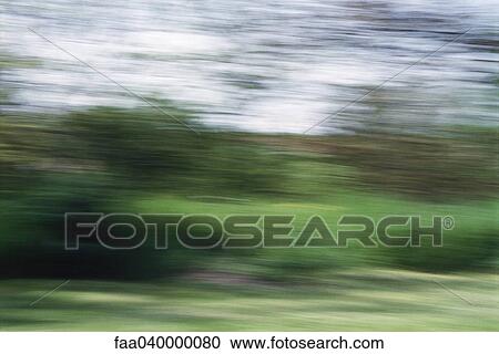 Blurred vegetation View Large Photo Image Stock Image - Blurred vegetation. Fotosearch
