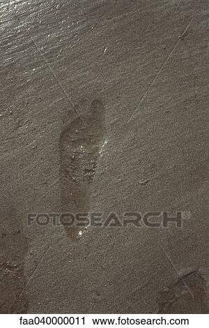 Stock Image - Footprint in wet sand. Fotosearch