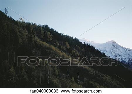 Hillside in mountain landscape View Large Photo Image Stock Image - Hillside in mountain landscape. Fotosearch