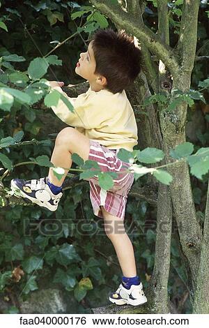 Little boy climbing tree View Large Photo Image Stock Photograph - Little boy climbing tree. Fotosearch