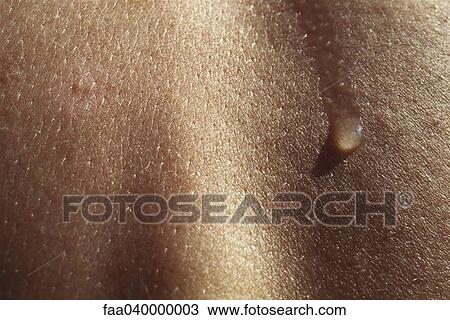 Stock Image - Perspiration on skin, extreme close-up. Fotosearch