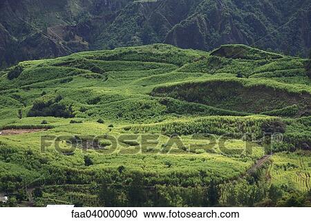 Verdant mountain landscape on Reunion island in Africa View Large Photo Image Stock Image - Verdant mountain landscape on Reunion island in Africa. Fotosearch