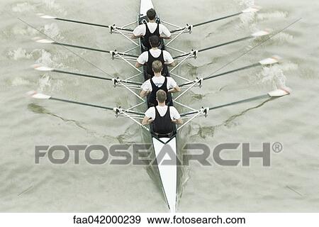 "Rowing team rowing scull, oars out of water, high angle view" View Large Photo Image Stock Photo - "Rowing team rowing scull, oars out of water, high angle view". Fotosearch