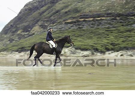 Stock Image - Woman riding horse in shallow water near rocky shore. Fotosearch