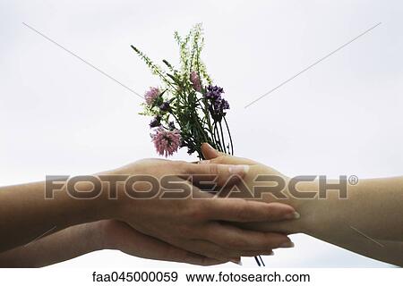 Stock Photo - Adult handing young person bouquet of wildflowers, close-up. Fotosearch