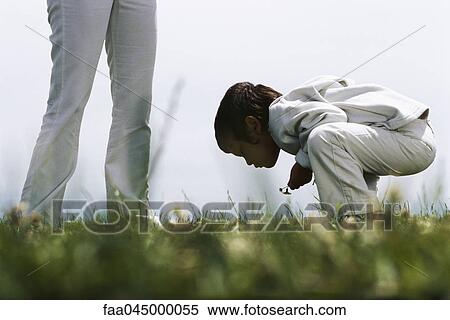 Stock Photography - Little boy bending forward picking flowers, parent standing nearby. Fotosearch