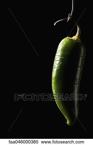 Stock Photography - Green chili pepper. Fotosearch