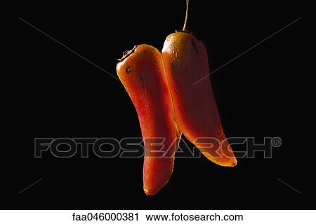 Stock Image - Red chili pepper. Fotosearch