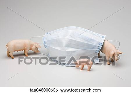 Swine flu concept with flu mask and toy pigs View Large Photo Image Stock Photography - Swine flu concept with flu mask and toy pigs. Fotosearch