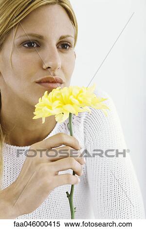 Woman holding flower up to nose, contemplatively looking away View Large Photo Image Stock Photography - Woman holding flower up to nose, contemplatively looking away. Fotosearch