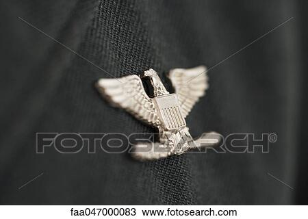 Colonel insignia, eagle military pin View Large Photo Image Stock Image - Colonel insignia, eagle military pin. Fotosearch
