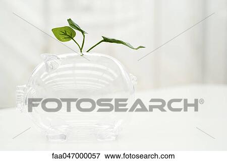 Plant growing out of piggy bank View Large Photo Image Stock Photo - Plant growing out of piggy bank. Fotosearch