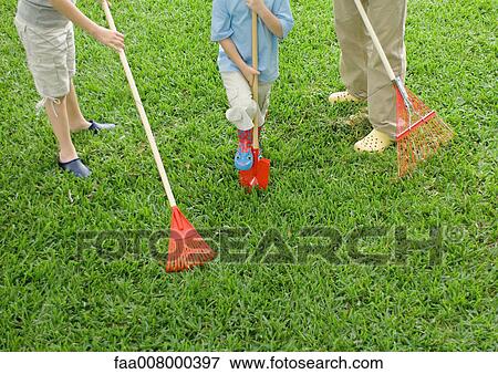 Adult and two children standing in yard with rakes and shovel, low section View Large Photo Image Stock Photo - Adult and two children standing in yard with rakes and shovel, low section. Fotosearch