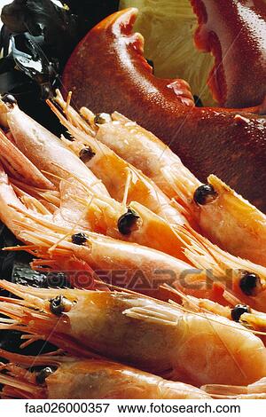 Assorted shellfish, close-up View Large Photo Image Stock Photo - Assorted shellfish, close-up. Fotosearch