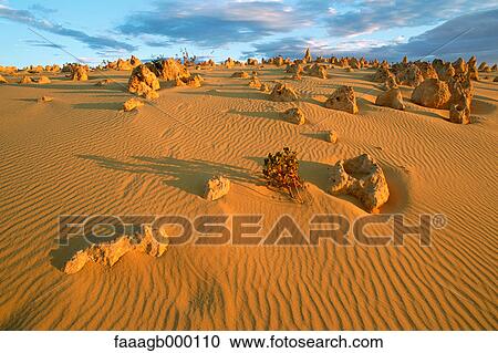 Stock Image - Australia, Pinnacles Desert. Fotosearch