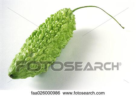 Bitter melon, close-up View Large Photo Image Stock Photograph - Bitter melon, close-up. Fotosearch