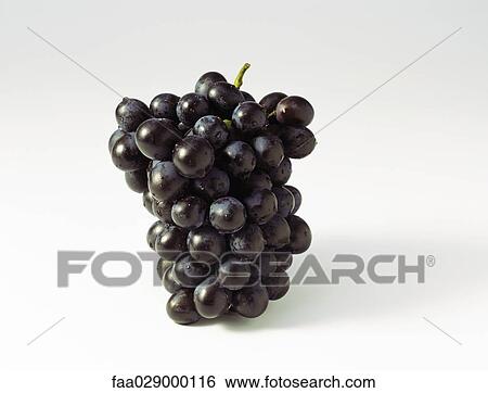 Black grapes, close-up View Large Photo Image Stock Photograph - Black grapes, close-up. Fotosearch