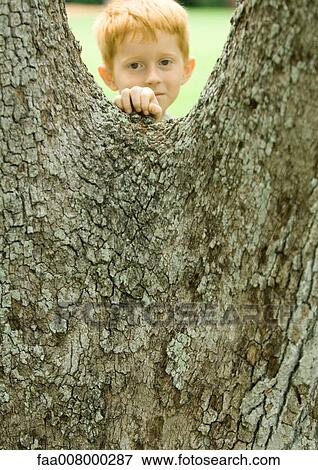 Boy standing behind tree View Large Photo Image Stock Photo - Boy standing behind tree. Fotosearch