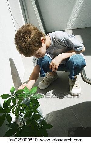 Boy watering plant View Large Photo Image Stock Image - Boy watering plant. Fotosearch