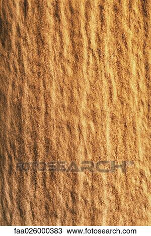 Bumpy surface, close-up, full frame View Large Photo Image Stock Image - Bumpy surface, close-up, full frame. Fotosearch