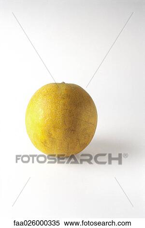 Cantaloupe, white background View Large Photo Image Stock Photography - Cantaloupe, white background. Fotosearch