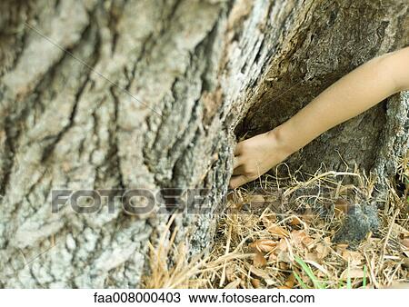 Stock Image - Child's arm reaching for something at base of tree. Fotosearch