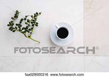 Coffee cup and olive branch, high angle view View Large Photo Image Stock Photograph - Coffee cup and olive branch, high angle view. Fotosearch