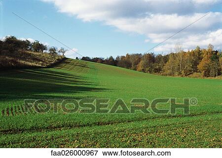 Countryside with cultivated field View Large Photo Image Stock Photo - Countryside with cultivated field. Fotosearch