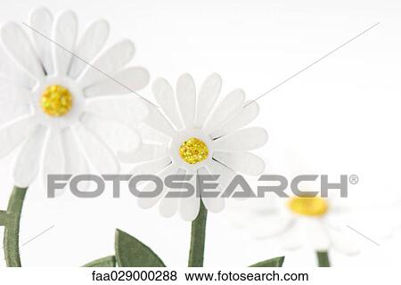 Stock Photo - Craft daisies. Fotosearch