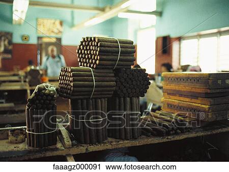 Cuba, Havana, bundles of cigars View Large Photo Image Stock Image - Cuba, Havana, bundles of cigars. Fotosearch