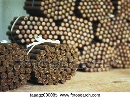 Cuba, Havana, bundles of cigars View Large Photo Image Stock Photography - Cuba, Havana, bundles of cigars. Fotosearch
